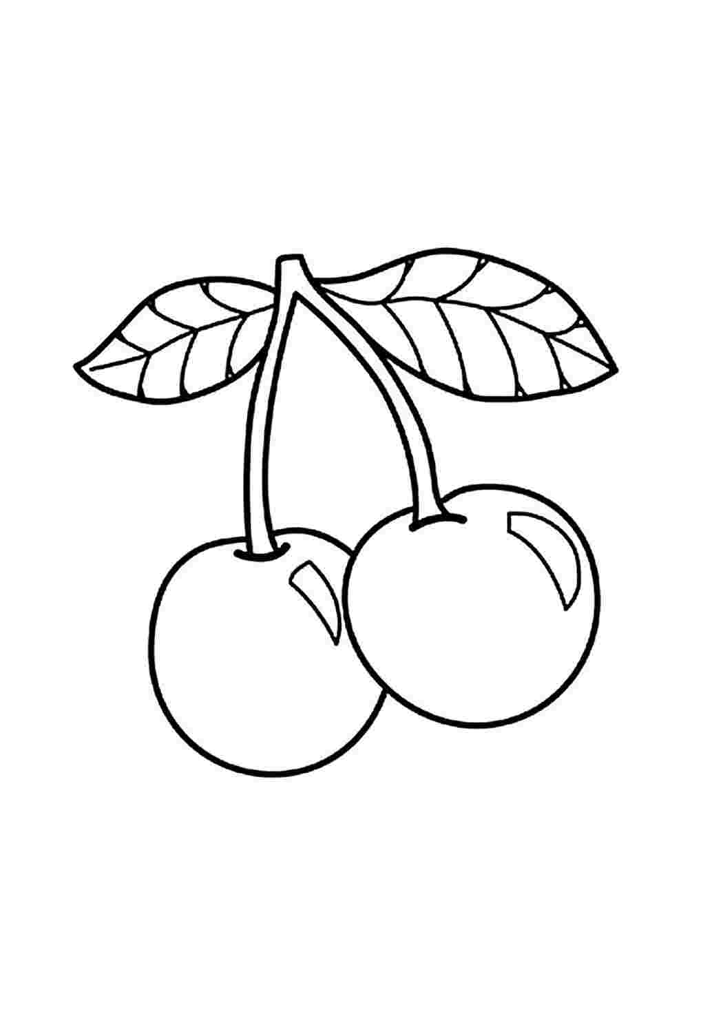 Раскраска Розфарбування вишня. Розмальовки.