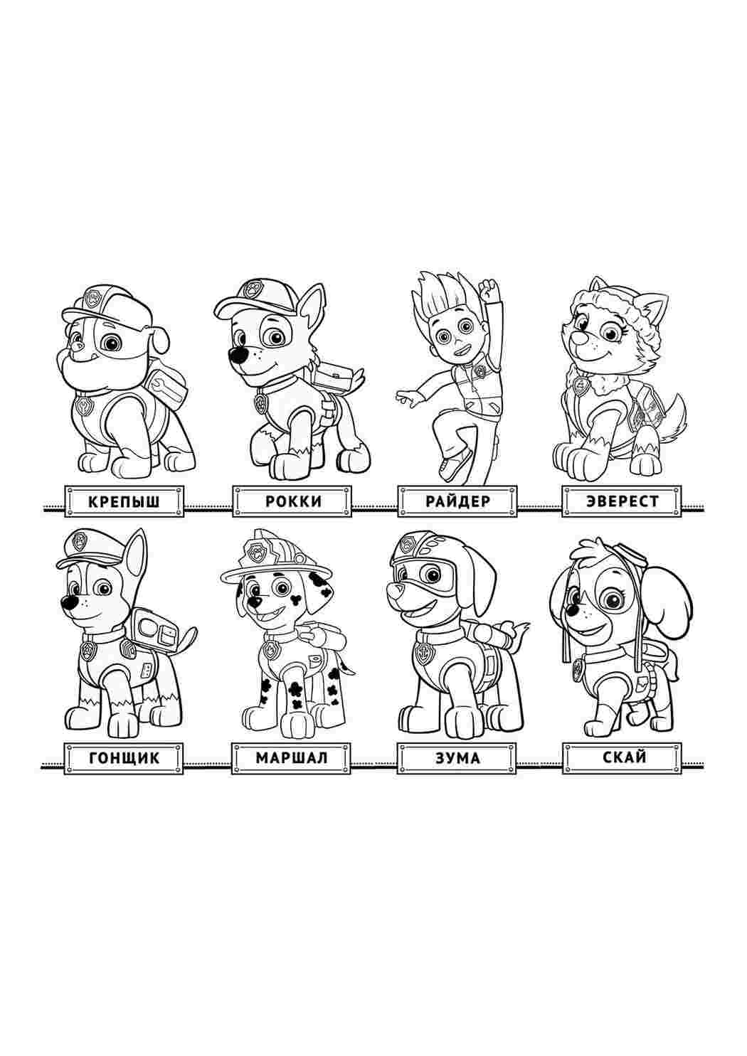 Раскраска Патруль Щенят. Гарні розмальовки.