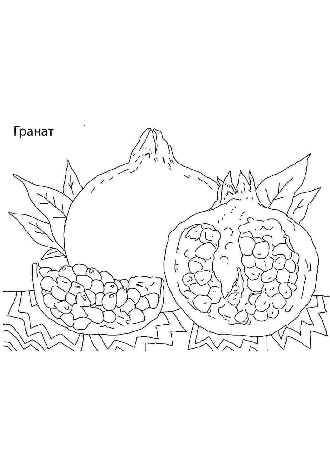 Раскраска Розфарбування гранат. Розмальовки.