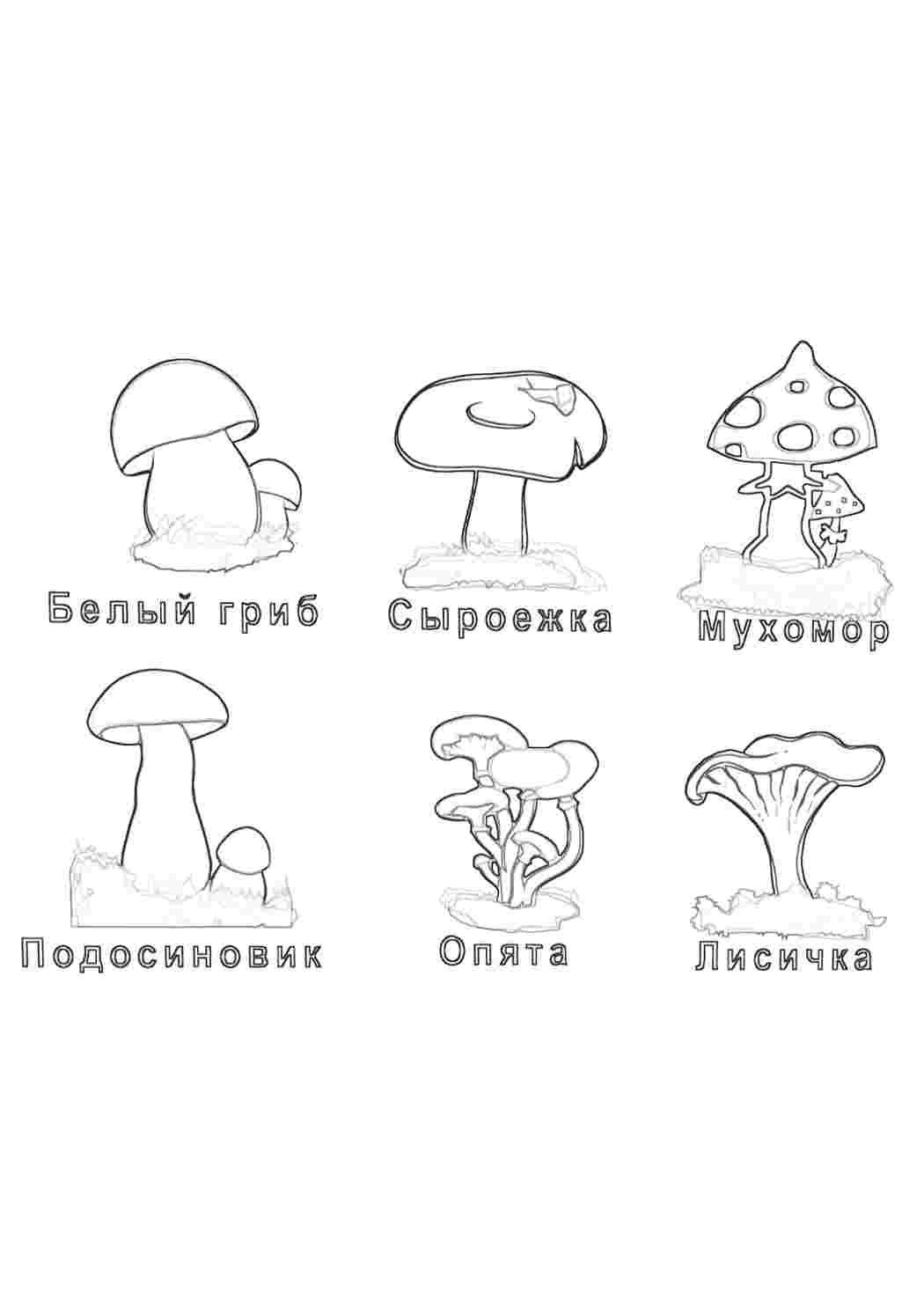 Раскраска Природа. Безкоштовно знайти розмальовку.